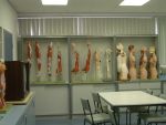 FUSA science anatomy room.JPG